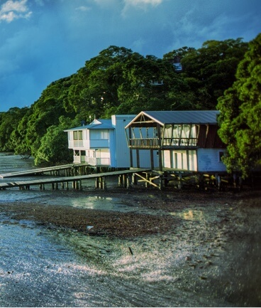 white wooden beach house with deck leading to ocean, in front of lush green forest